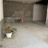 مغازه ۱۰۰ متری حاشیه توس ۳۳|اجارهٔ مغازه و غرفه|مشهد, کشف|دیوار