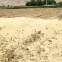فروش کاه عدس