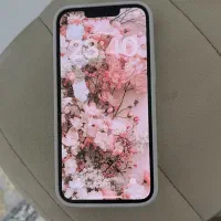 ایفون ۱۳ پرو  اصلی|موبایل|مشهد, امیریه|دیوار