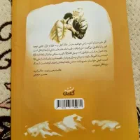 کتاب داستان|کتاب و مجله مذهبی|قم, سید معصوم|دیوار