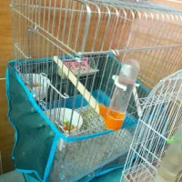 قفس پرندگان (باتمام لوازم)