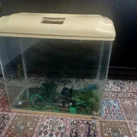 همه ۱۰میلیون مبل.ناهارخوری.فرش.میز تی وی.آکواریوم