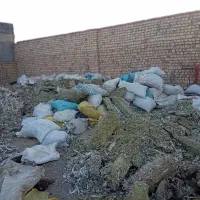 گندم|لوازم جانبی حیوانات|قم, قلعه صدری|دیوار