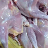 هشت تا مرغ ماشینی دونه 180