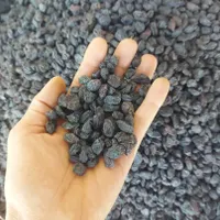 کشمش گله درگز مخصوص آبگیری
