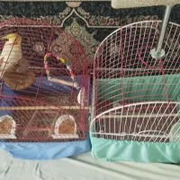 قفس|لوازم جانبی حیوانات|تهران, خزانه|دیوار