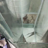 آکواریوم بزرگ|ماهی|شاهین‌شهر, عطار|دیوار