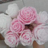 کلکسیونی از گل رز