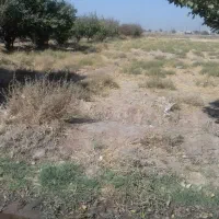 سه هزارمترزمین مشاهیر|فروش زمین و ملک کلنگی|نیشابور, شهرکهنه|دیوار