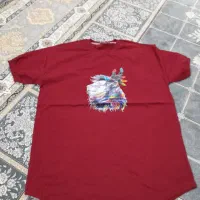 حراج تعدادی لباس پاییزی و زمستانی|لباس|فولادشهر, C4|دیوار