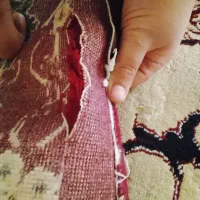 فرش 12متری|فرش|ایلام, |دیوار