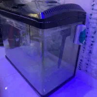 آکواریوم شرکتی ماهیران با کلیه تجهیزات|ماهی|اهواز, رسالت|دیوار