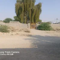 اجاره زمین ایسین