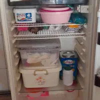 یخچال فریزر|یخچال و فریزر|بشاریات, |دیوار