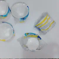 چاه بست اصلی تک درب و دو‌‌درب