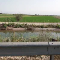 فروش 1.5هکتار زمین آبی کارخانه سیمان ابتدای سدشهدا|فروش دفتر صنعتی، کشاورزی، تجاری|بهبهان, |دیوار