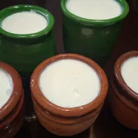 قارچ، دوغ و ماست کفیر اصل قفقاز|خوردنی و آشامیدنی|تهران, حکیمیه|دیوار