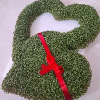 سبزه نوروزی و متفاوت