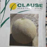 بذر ملون dako f1 صادراتی