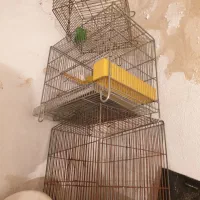چندعدد قفس پرنده