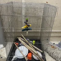 قفس پرنده جنس خوب