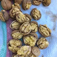 خرید و فروش خشکبار