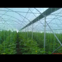 طراحی وساخت گلخانه با سالها تجربه ومهندسین مجرب|خدمات باغبانی و درختکاری|تهران, عباس‌آباد|دیوار