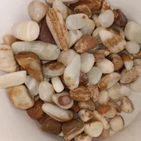 سنگ آکواریوم و مرجان