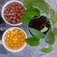 قند شیری نرم