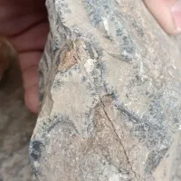 سنگهای قیمتی|کلکسیون و سرگرمی|کرمانشاه, |دیوار