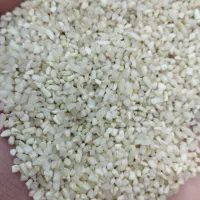 برنج نیم دانه عنبر خالص و سالم عنبر|خوردنی و آشامیدنی|کارون, |دیوار