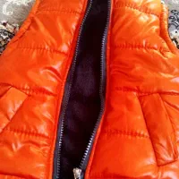 پافر  نو بچگانه|لباس|سمنان, |دیوار