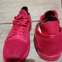 کفش|کیف، کفش، کمربند|بجنورد, |دیوار