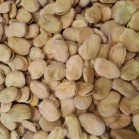 فقط عمده|عمده‌فروشی|بهبهان, |دیوار