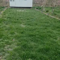 باغچه‌ 550‌ متری‌