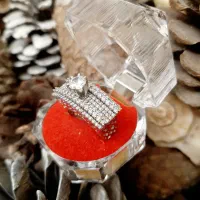 تعدادی انگشتر نقره زنانه|جواهرات|فردیس, نسترن غربی|دیوار