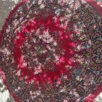 پادری گرد ۱/۵متری