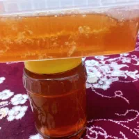 فروش عسل طبیعی و لوبیا سفید دست اول بدون واسطه|خوردنی و آشامیدنی|تهران, ترمینال جنوب|دیوار