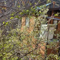 ۳۱۶ متر زمین|فروش زمین و ملک کلنگی|آبعلی, |دیوار