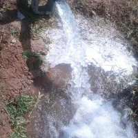 زمین( کشاورزی )