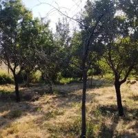 امور سند و مجوز خود را به ما بسپارید مشاوره‌رایگان