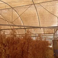 فروش سازه دست دو و تعمیرات و نصب|خدمات پیشه و مهارت|شهرضا, |دیوار