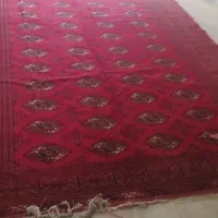 فرش دست بافت ۶متری ۲در۳