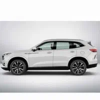 هاوال ۲۰۲۵ مشگی