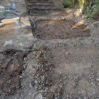 باغبانی هستم|خدمات باغبانی و درختکاری|بندر امام خمینی, |دیوار