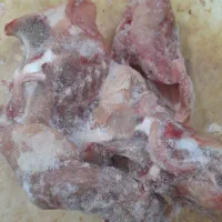 اسکلت گردن مرغ