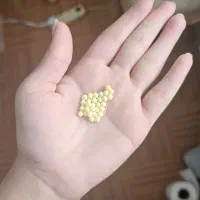 خاویار تازه حلزون برای پوست