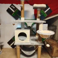 اسکرچر و درخت گربه ( مستقیم از تولیدی و کارگاه )|لوازم جانبی حیوانات|چهاردانگه (تهران), |دیوار