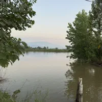 استخر-پرورش-ماهی-گرمابی-فعال