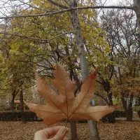 اجاره-آپارتمان-اداری